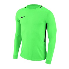 Детский вратарский джемпер Nike Dry Park III Green #grai.com.ua