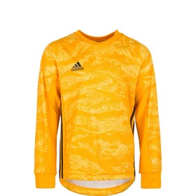 Вратарский/Детский джемпер adidas AdiPro 19 GK Collegiate Gold #grai.com.ua
