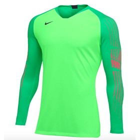 Вратарский джемпер Nike Gardien II GK Green #grai.com.ua