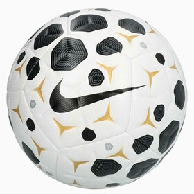 Футбольний м'яч Nike Academy Plus 25 FIFA White/Black/Gold