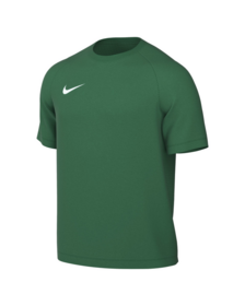 Футболка NIKE DRI-FIT PARK VIII 26/31 Gorge Green/White