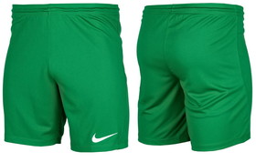 Шорты/Детские шорты Nike Dry Park III Pine Green/White #grai.com.ua