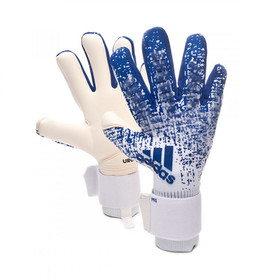 Вратарские перчатки adidas Predator Pro White/Blue #grai.com.ua