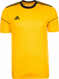 Футболка/Детская игровая Adidas Squadra 17 Yellow/Black #grai.com.ua