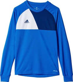 Вратарский/Детский джемпер adidas Assita 17 Blue/White #grai.com.ua