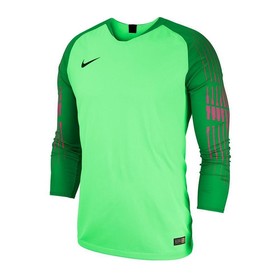 Детский вратарский джемпер Nike Gardien II GK LS Green #grai.com.ua